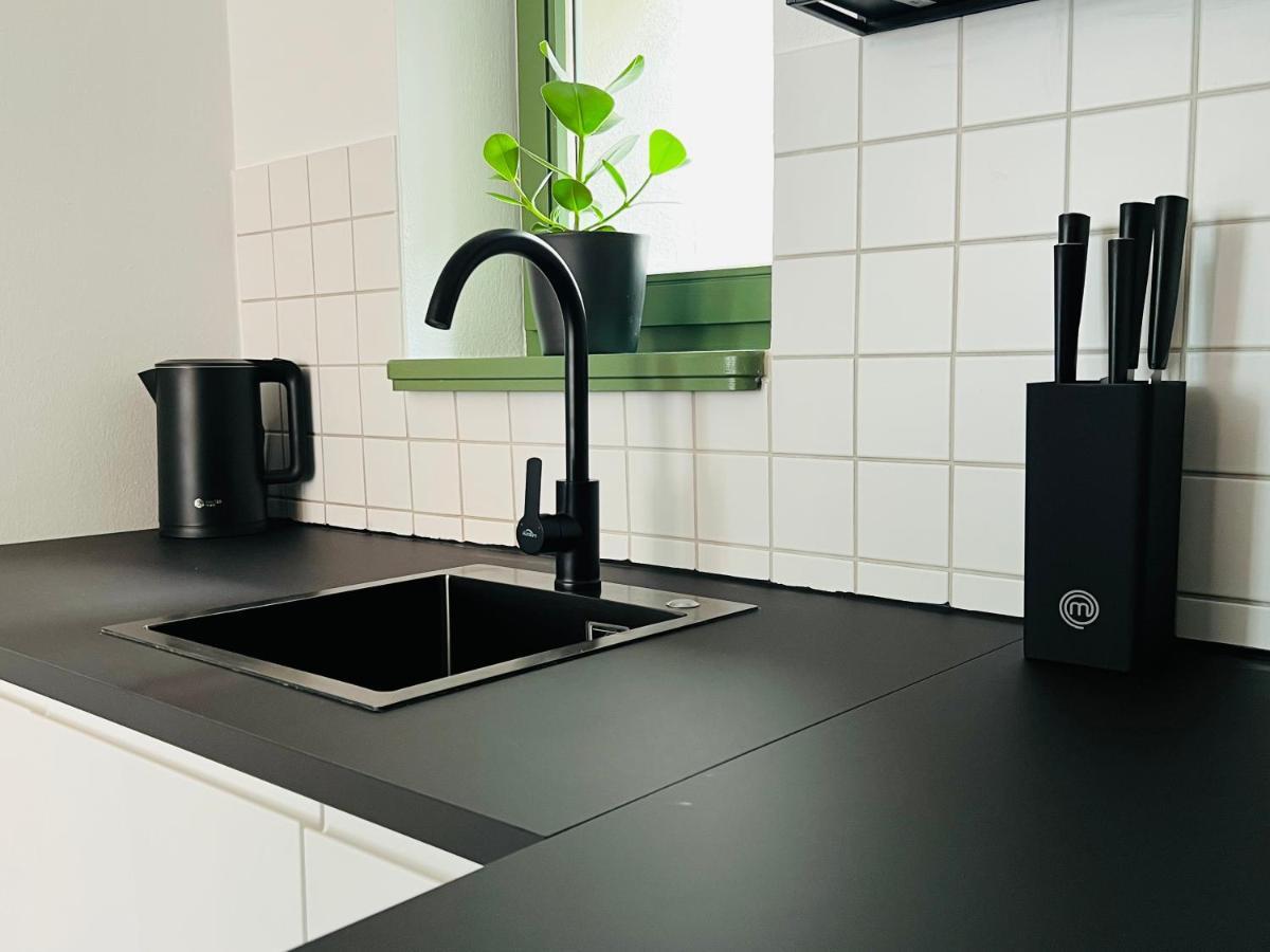 Hip & Minimalist - Stadt Apartments Am Malerweg 皮尔纳 外观 照片