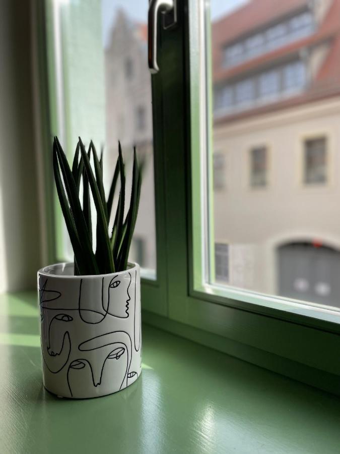 Hip & Minimalist - Stadt Apartments Am Malerweg 皮尔纳 外观 照片